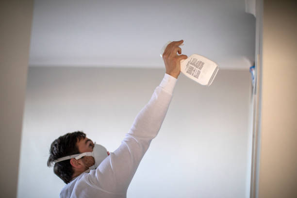 Best Mold Removal Near Me  in San Bruno, CA