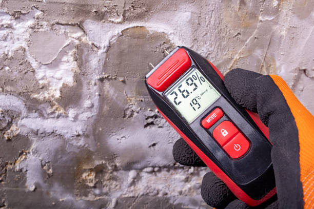 Best Toxic Mold Removal  in San Bruno, CA